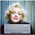 carpediembusra