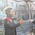 Gntccnr