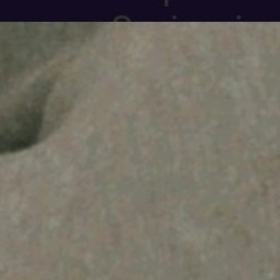 duskeyfisi