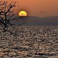 murat_gnydn