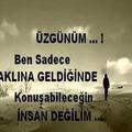 bnmsin