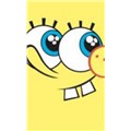 spongy