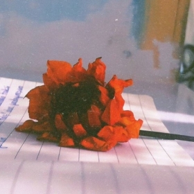 YorgunBedevii