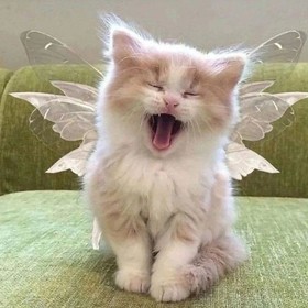 Blinkiztabii