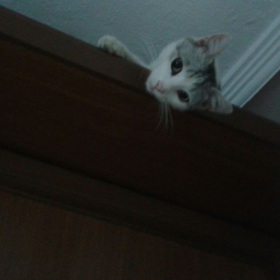 _Nurbanu_