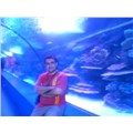 Friendly_1980