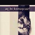 SevimsizHatun