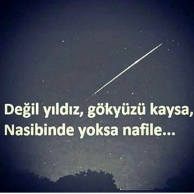 gecerbelkii