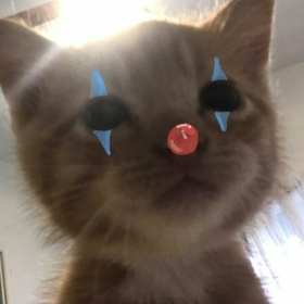 nbcyy