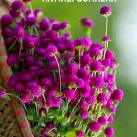 Byberber70