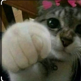 Adıbosverbeeee