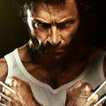 wolverine66