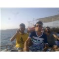 turgay518