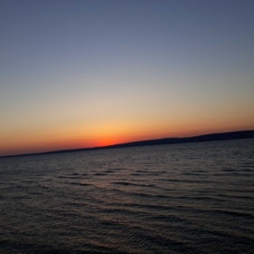 palmiyeağacı99