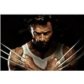 35WOLVERINE35
