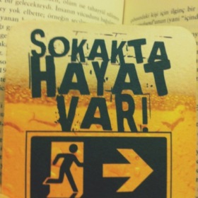 ruitor
