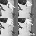 HondaBmw