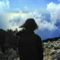 BornToBeWylde