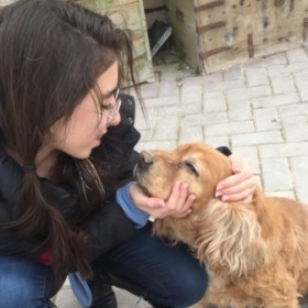 Doglover08