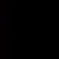dollarsmile