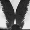 DreamerGirl7371
