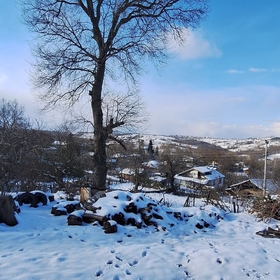faruksky