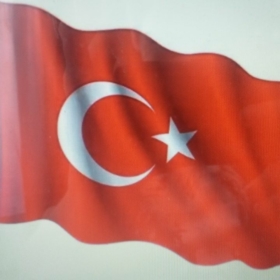 YigidoSürekli