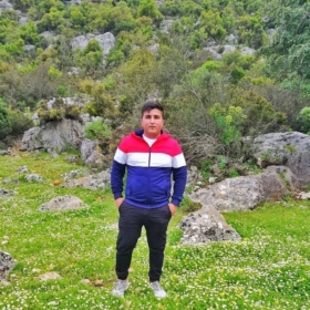 lesyevi