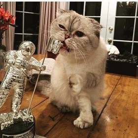 Olivia_Benson