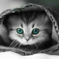 miray_kalben