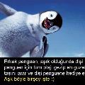 songüneş