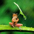 rainysummer