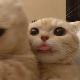 Eyxww