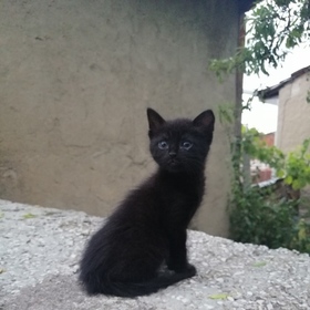 muratdemrc