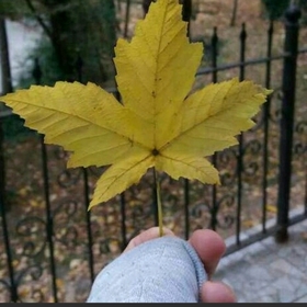 uuyuyanguzel
