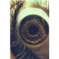 muse41234123
