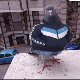 olumhastamısınızlan