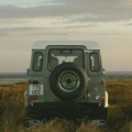 Defendergirl