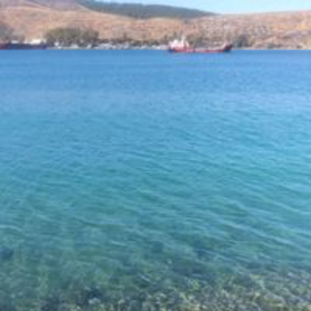 Aliköy