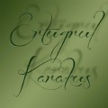 ErtugrulKarakus