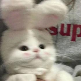 Sghkdhskd