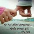 nisan73