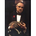 DonVitoCorleone