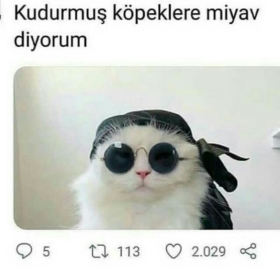 Yavyavmiyav