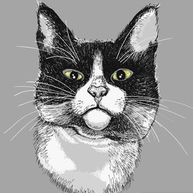 drcat