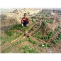 lonelyman37