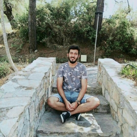 tipimsin