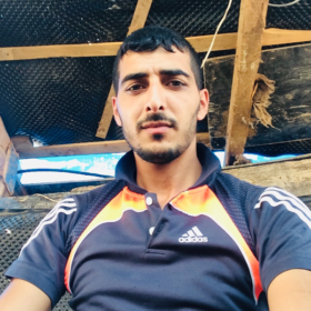 kuzgun7201