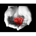 unknown_35