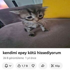 İremiwiwiw